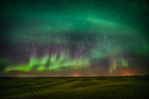 stars and aurora borealis