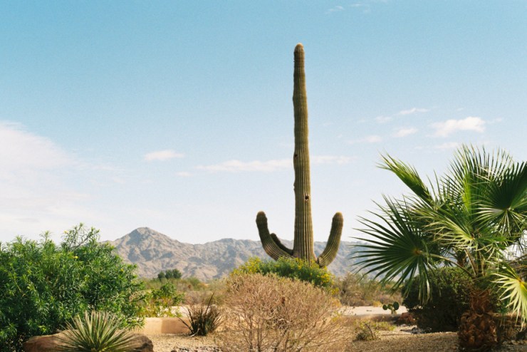 SherryChristensen-29