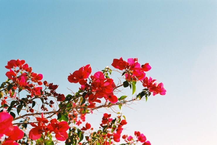 SherryChristensen-31