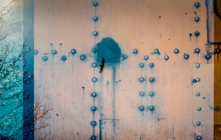 Sherry-Scottdoubleex-18