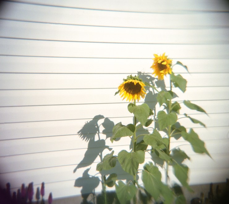 SherryChristensen-35