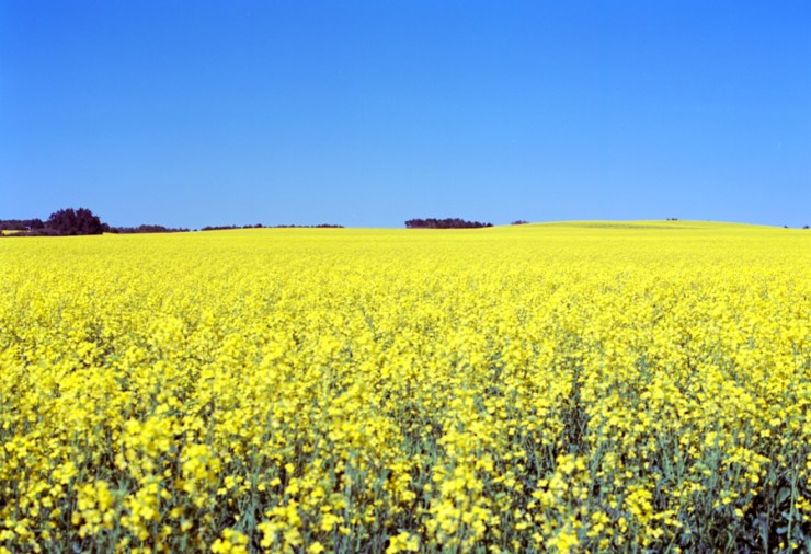 SherryChristensen-36