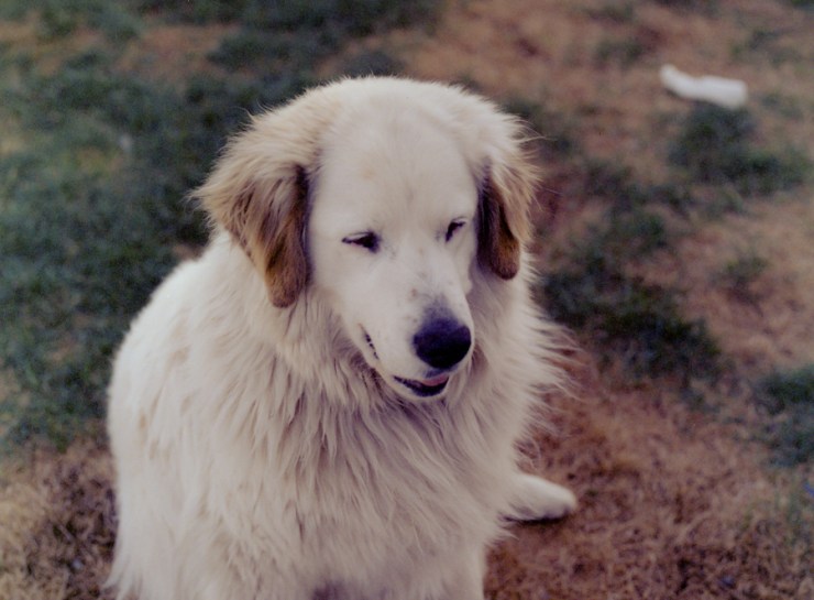 SherryChristensen-49