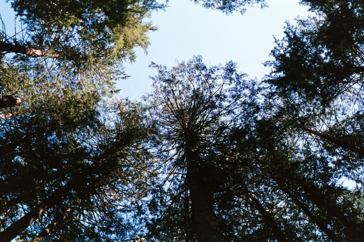 SherryChristensen-12