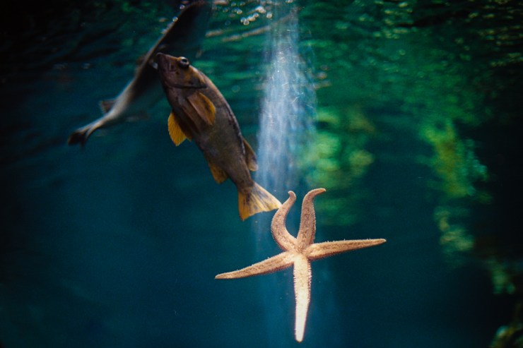 SherryChristensen-15