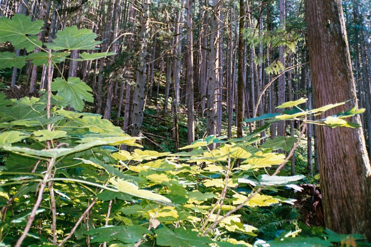 SherryChristensen-15