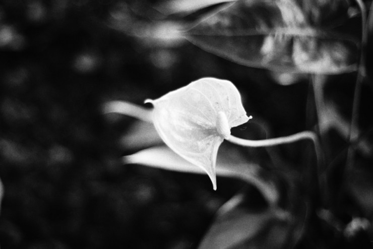 SherryChristensen-25