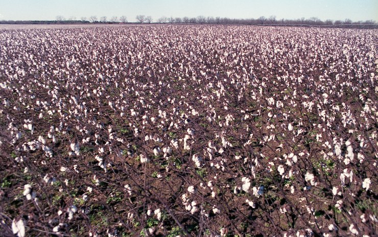 color minolta x370 tokina 2885 superia 400 2