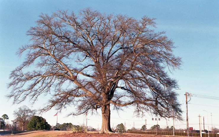 color minolta x370 tokina 2885 superia 400 3