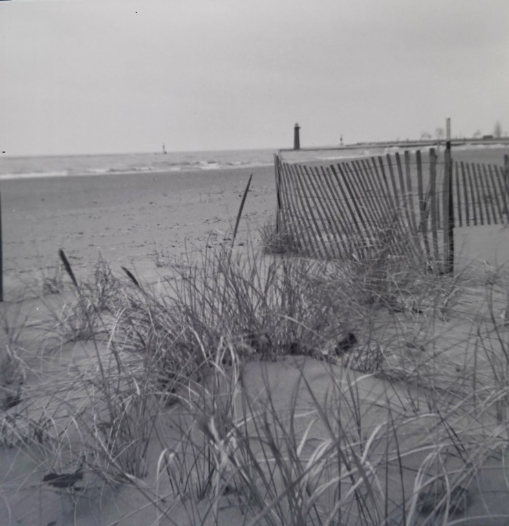 d4258144-ce54-4de0-9ed2-43f85b30e6ba