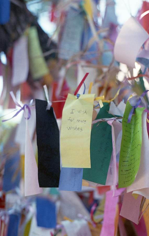 monetteffpjanuary-01