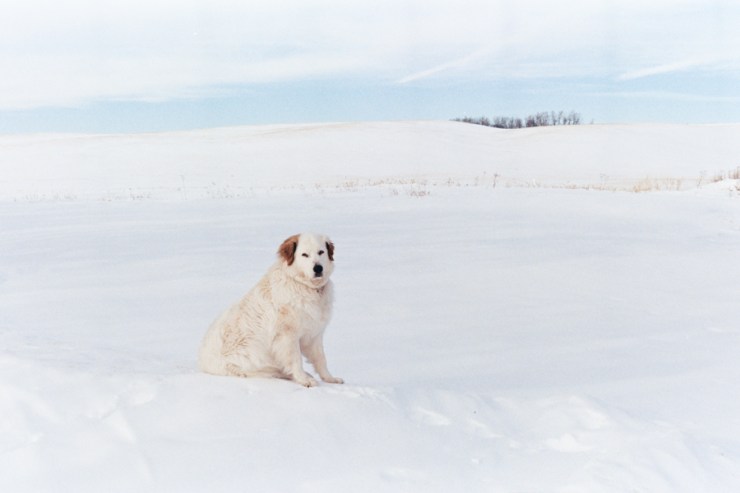 sherrychristensen-11