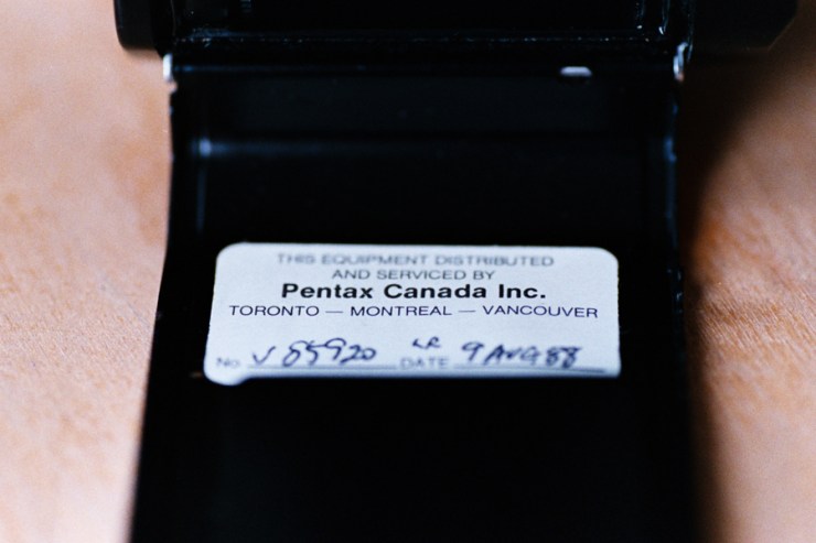 sherrychristensen-15