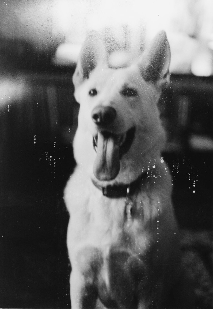 Photo Feb 27, 12 02 57 PM