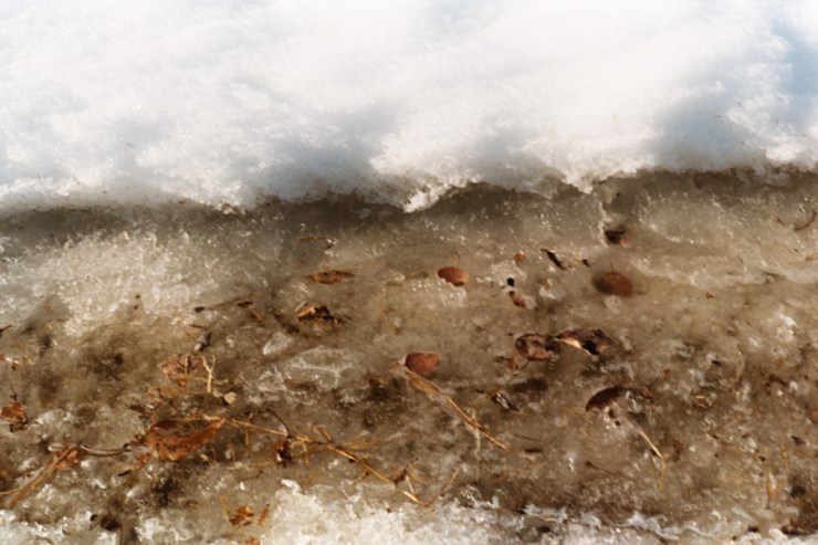 SherryChristensen1-6