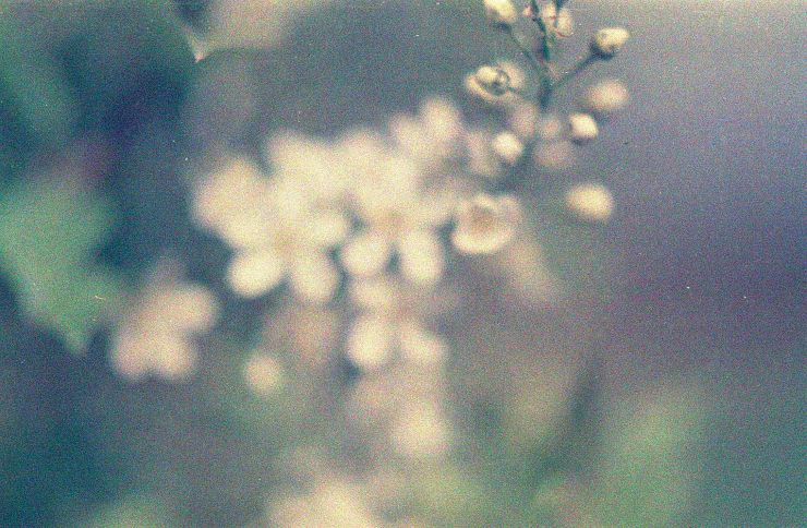 Photo May 14, 9 08 15 PM