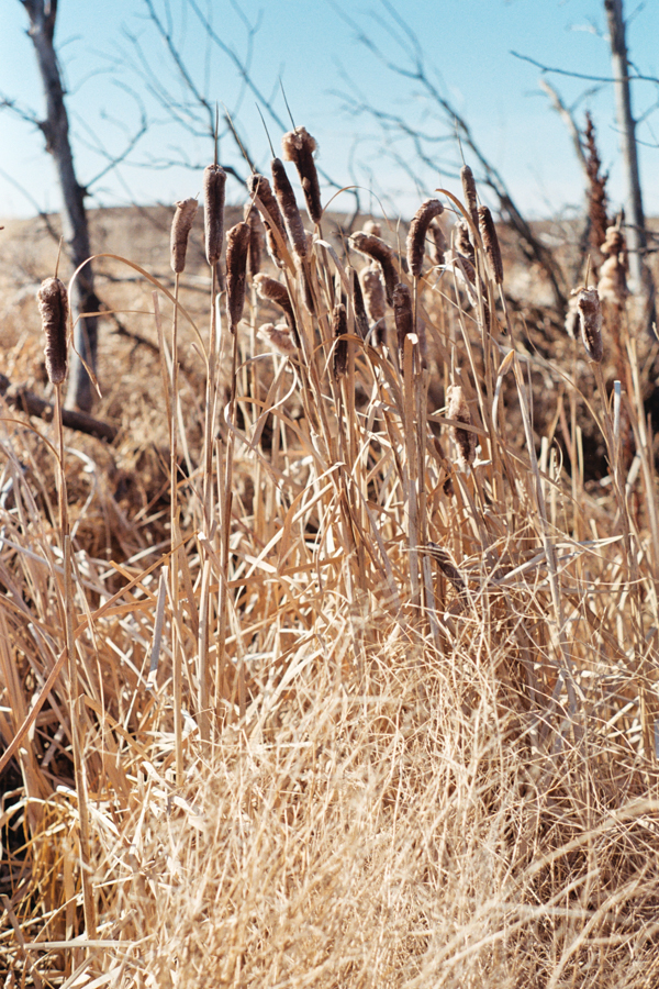 SherryChristensen1-5