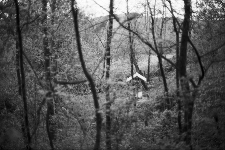 The Fountain of youth