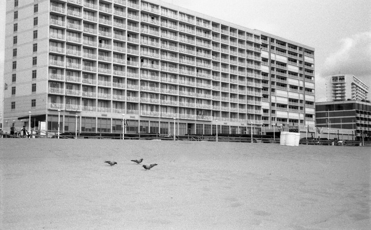 20190601 Voigtlander Vito (Kodak T-Max 100)(HC-110, B)009