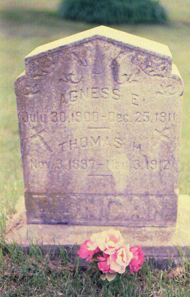 48073521303_a5096d7c50_o