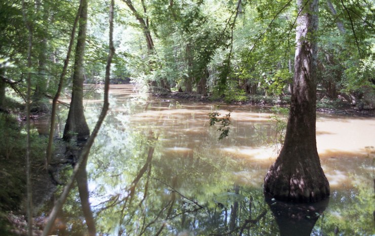 Minolta X370 Tokina Superia 052219 013