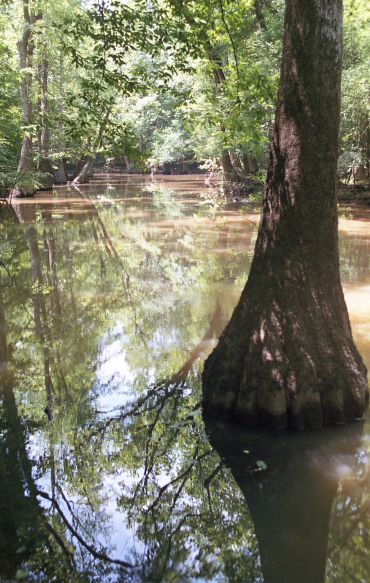 Minolta X370 Tokina Superia 052219 026