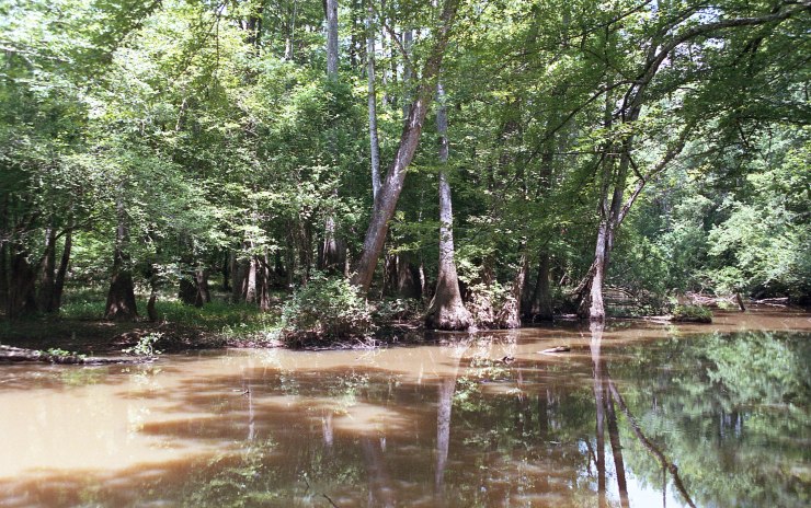 Minolta X370 Tokina Superia 052219 033