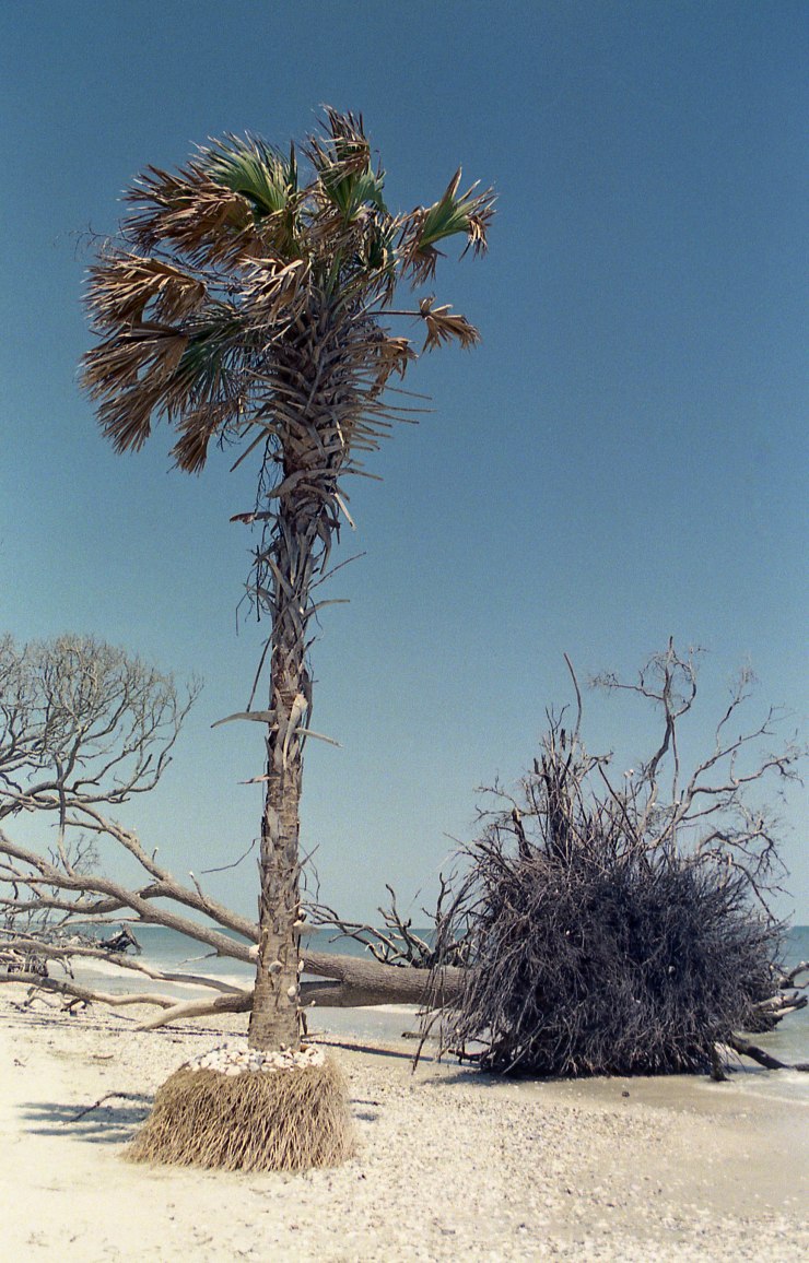 FFP June X370 Tokina Superia 400 015