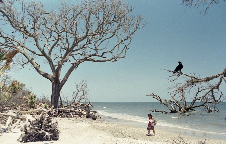 FFP June X370 Tokina Superia 400 016