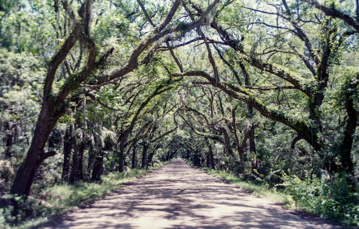 FFP June X370 Tokina Superia 400 032