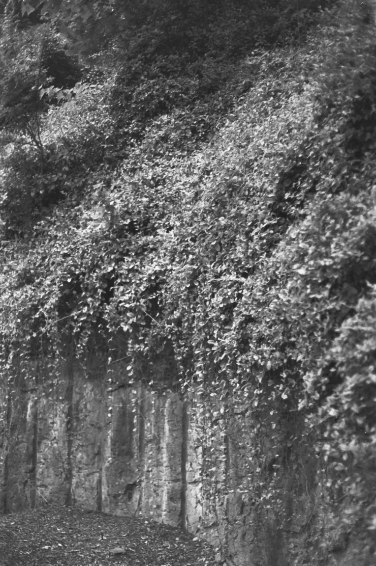 Processed With Darkroom