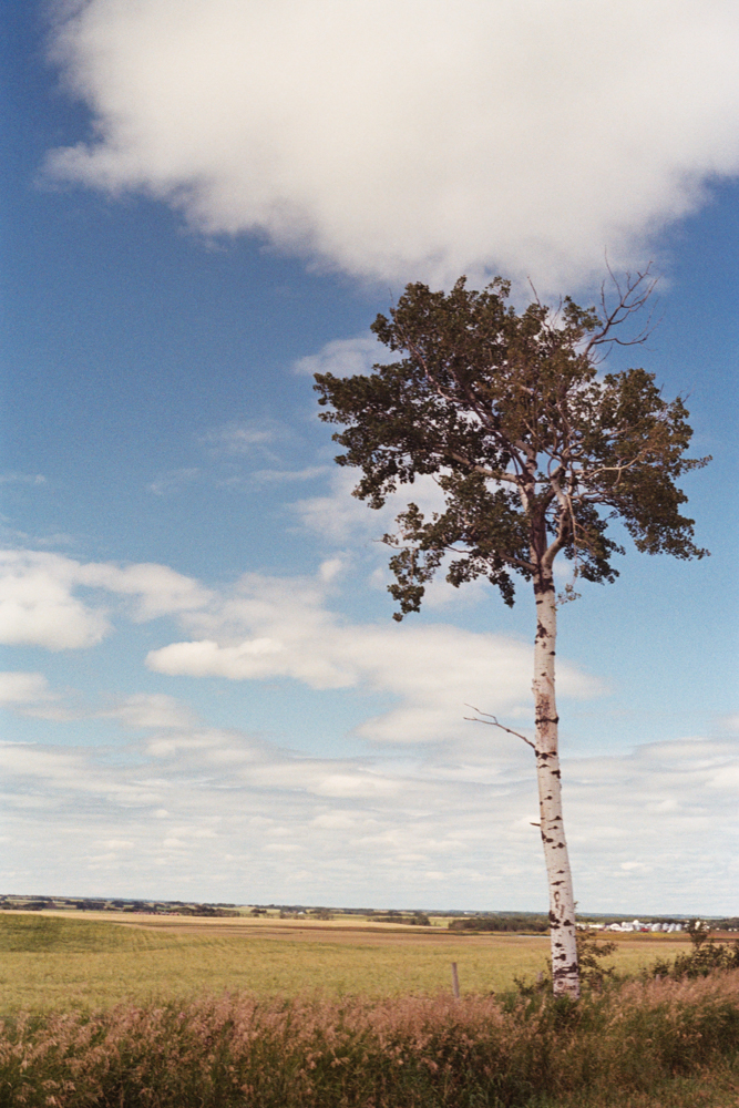 Sherry Christensen_-2