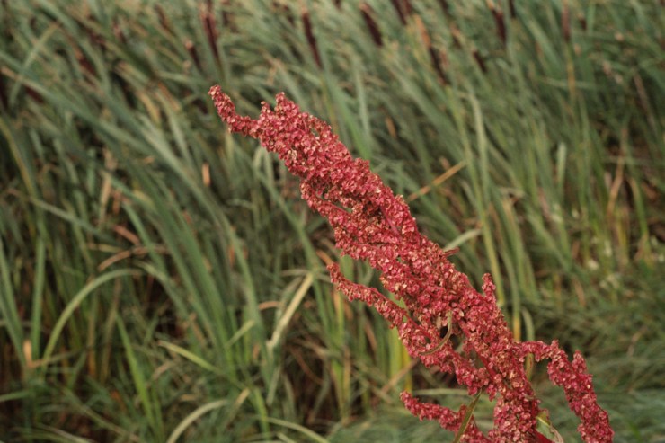 Sherry Christensen_-6