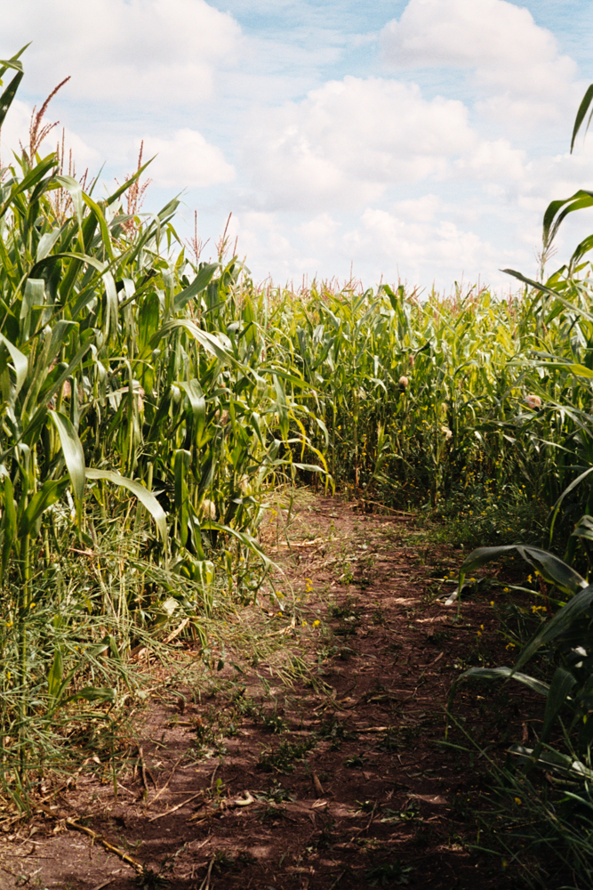 Sherry Christensen-6