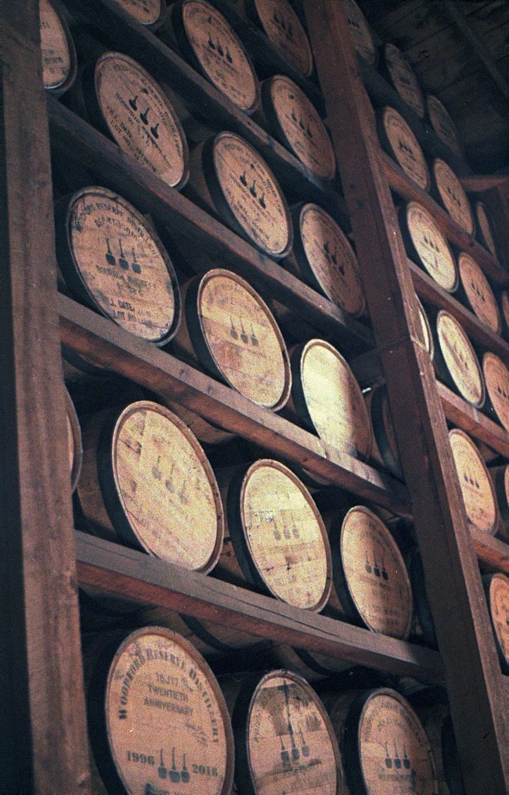 48959995898_3f0a811a31_o