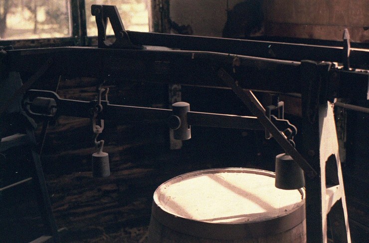 48960626777_d954826ced_o