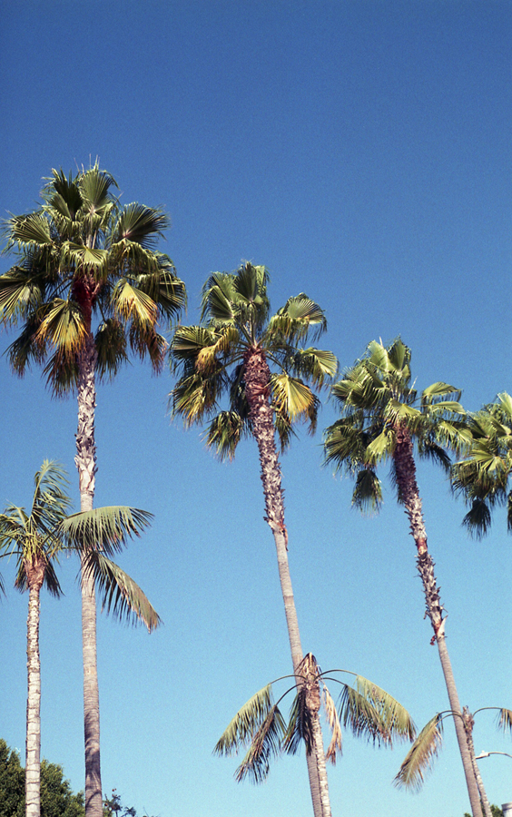 MonetteFFPSeptember-002