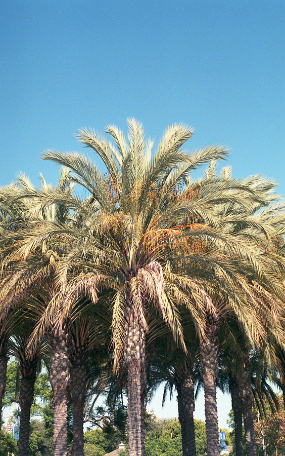 MonetteFFPSeptember-003