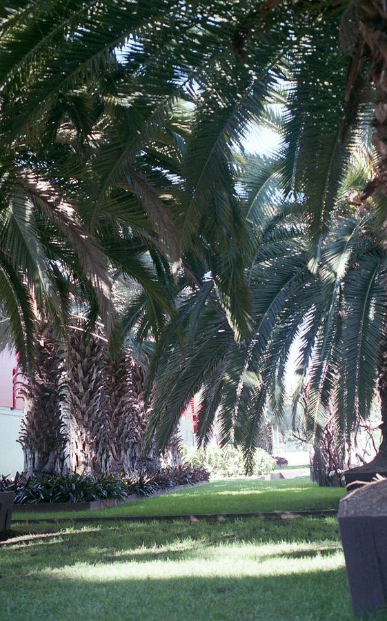 MonetteFFPSeptember-005