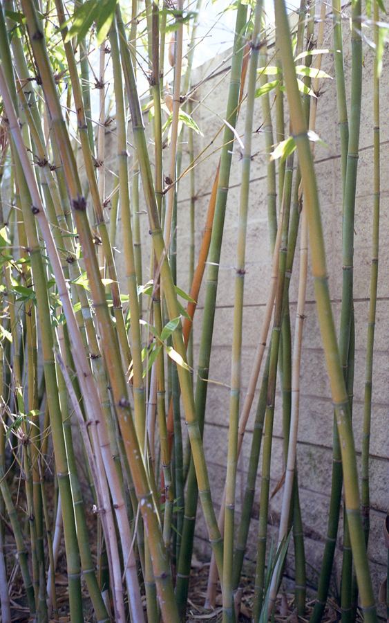 MonetteFFPSeptember-006