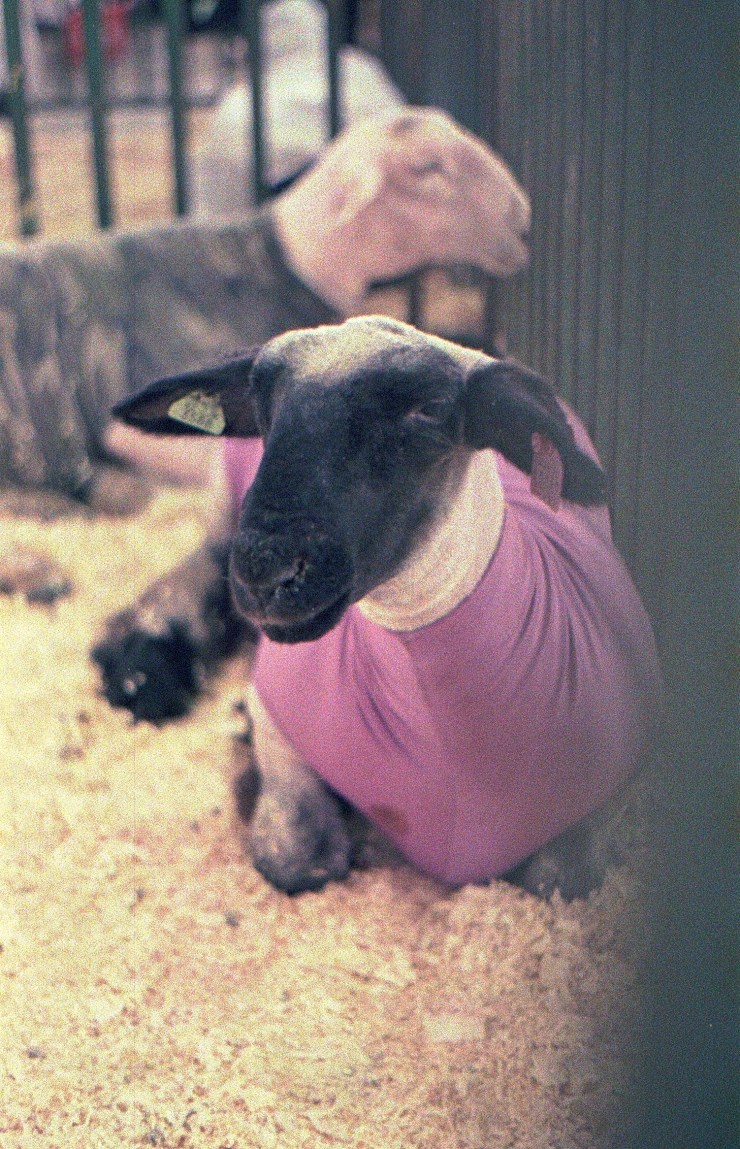 48959940248_ef15bfa10b_o