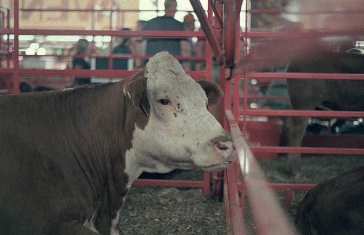 48960583637_02e8dc5748_o