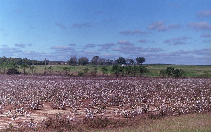 Minolta X370 Tokina2885 Superia 1019 037