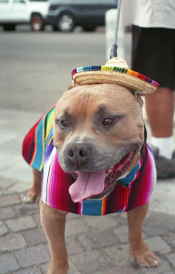 MonetteFFPOctober-04