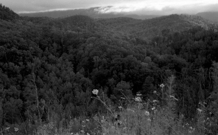 Sam Warner - October - 06