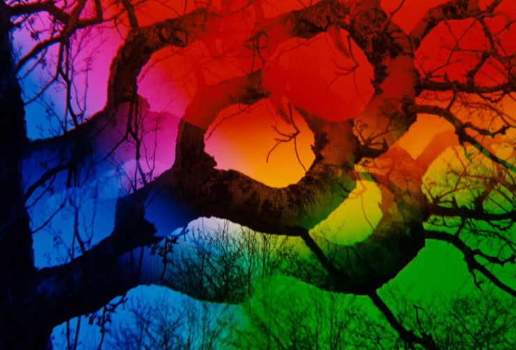 Sherry Christensen-4