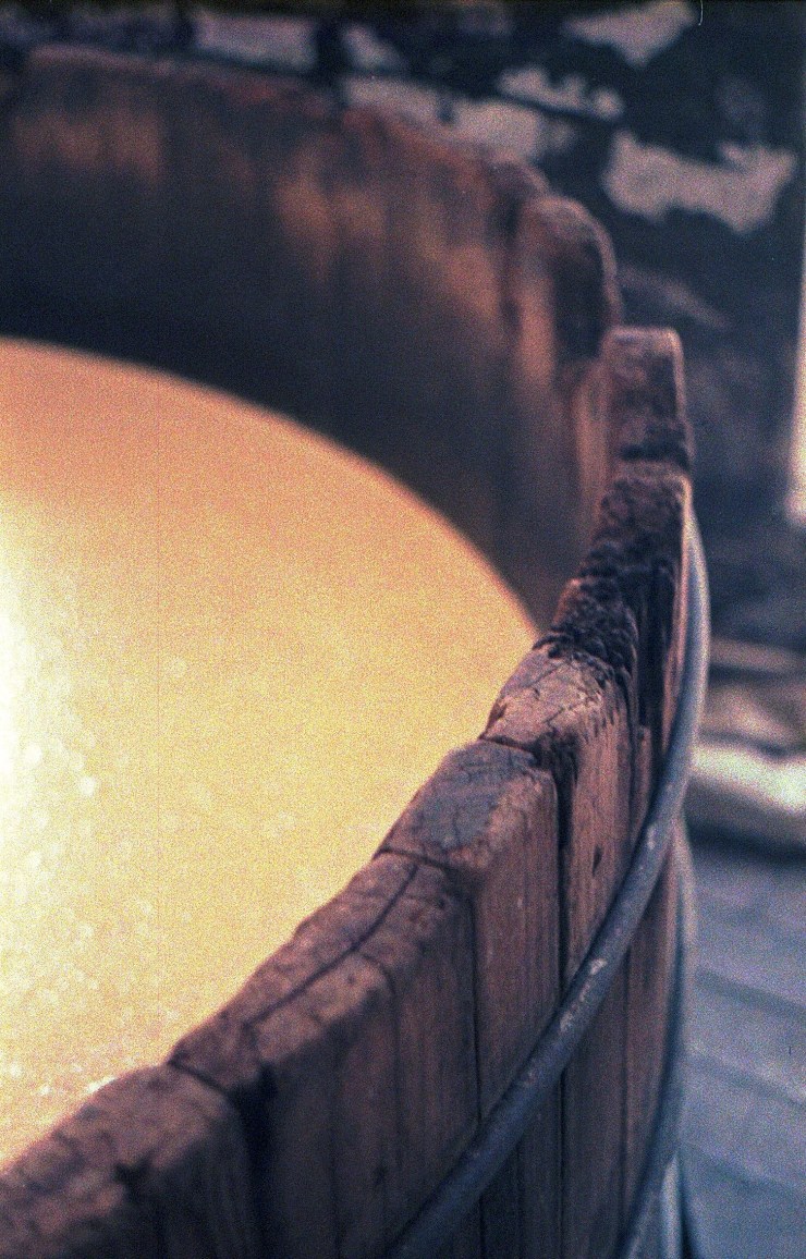 48960006973_1f9b3238a2_o