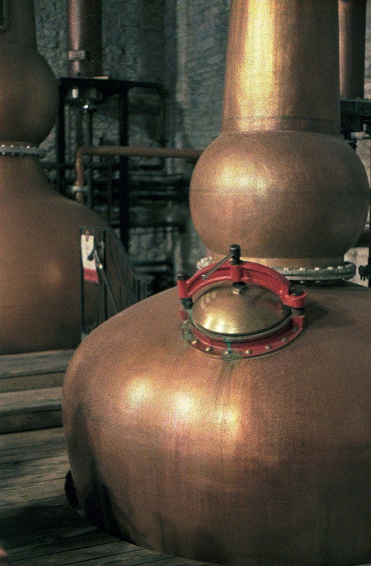 48960552311_8dbf587a27_o