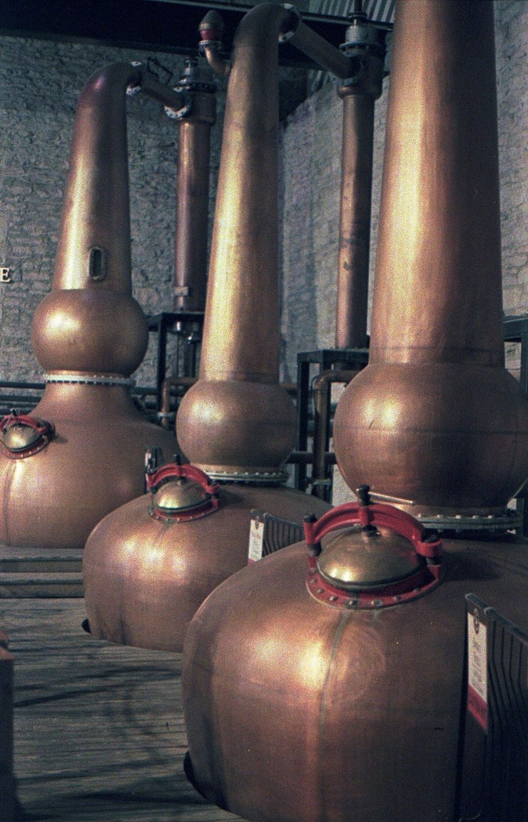 48960554646_8d6137fd74_o