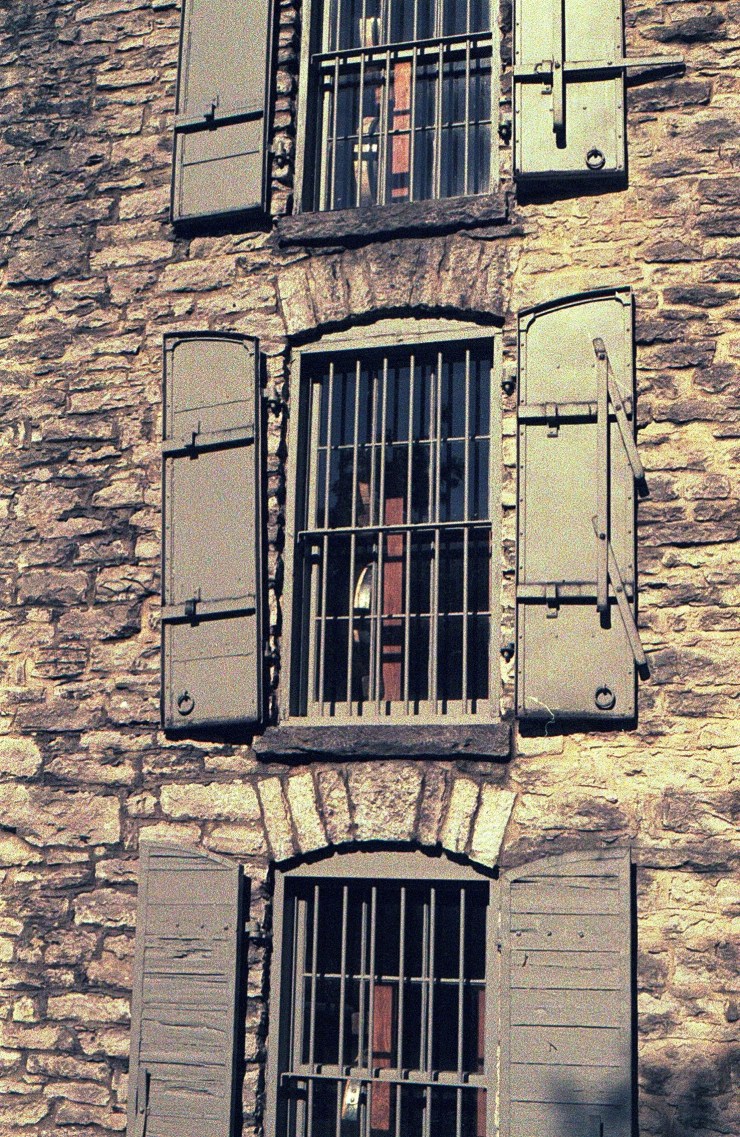 48960735247_d56388dafe_o